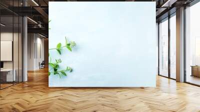 Fresh green plant climbing on light blue background perfect for nature or gardening themes, highlighting tranquility and organic growth. Wall mural