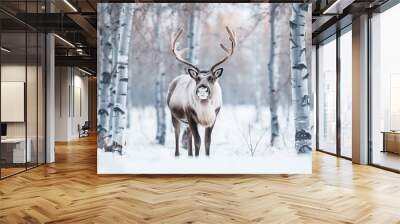 Reindeer standing in the snow winter background.Generative Ai. Wall mural