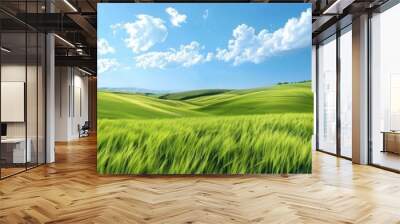 Scenic view of rolling green hills under a bright blue sky with fluffy clouds, perfect for nature and landscape themes. Wall mural