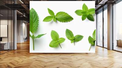 Set of fresh mint leaves on white background.Generative Ai. Wall mural