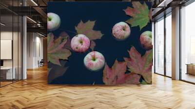 Autumn maple leaves and ripe apples floating on dark water Wall mural