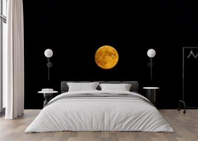 full yellow moon in the night sky Wall mural