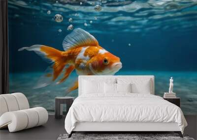 Goldfish in the aquarium. Beautiful goldfish swimming in the water. Wall mural