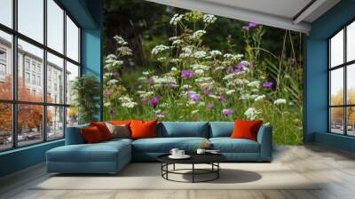 Meadow flowers and grass on a summer day Wall mural