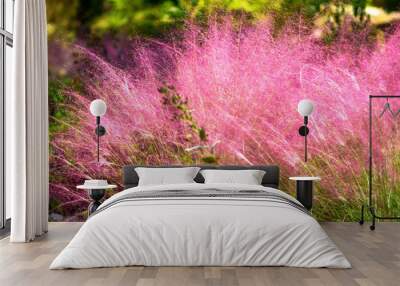 Pink Muhly Grass. Beautiful pink Muhlenbergia capillaries. Summer, autumn colors. Wall mural