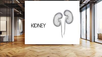 Polygonal human kidneys made of black lines and dots isolated on white background. Wall mural