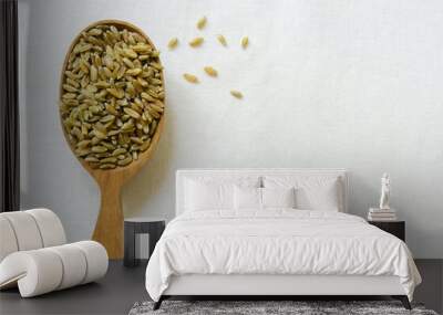 Raw freekeh or firik in a wooden spoon on a white background. Concept of healthy eating. Rustic style. Horizontal orientation. Top view. Copy space Wall mural