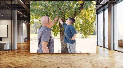 Senior Grandfather And Little Grandson Studying Nature. Wall mural