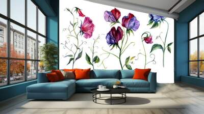 Watercolor Sweet Pea Flowers Collection Wall mural