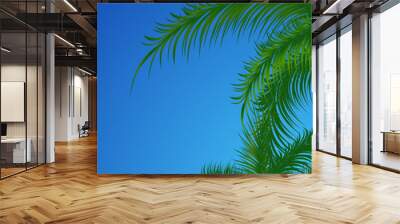 Summer background with palm trees. Vector illustration Wall mural