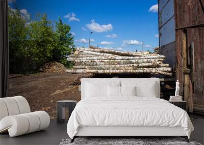 The old industrial wood hangar with equipment Wall mural