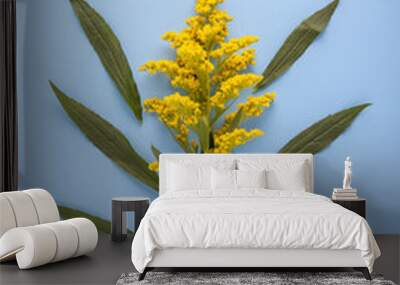 Flat lay arrangement of yellow flowers on blue background. Wall mural