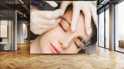 A cosmetologist applies permanent makeup to the eyebrows - eyebrow tattoo. eyebrow perm Wall mural