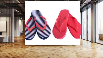 Summer shoes two pairs flip flops Wall mural