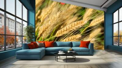 Wheat ears close up. Agriculture, harvest concept Wall mural