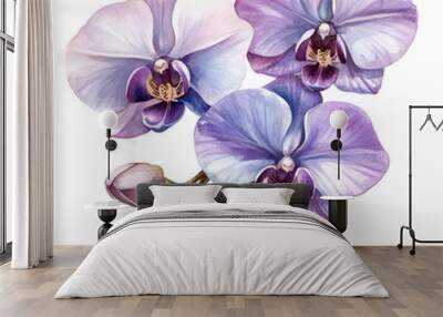 A beautiful illustration of purple orchids with delicate petals and buds, showcasing their elegance and natural beauty against a transparent background Wall mural