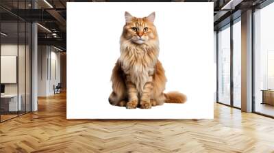 Graceful Persian Cat Silhouette on Transparent Background Wall mural