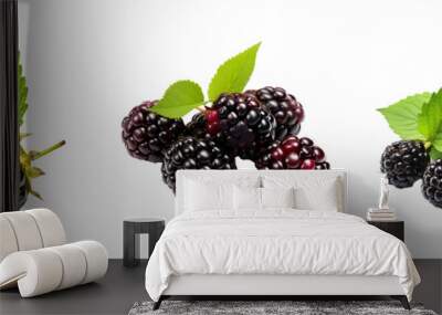 Luscious Blackberry Trio: Vibrant Fruits in Transparent Background Wall mural