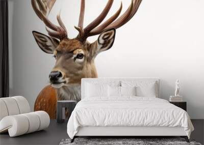 Portrait of a buck deer isolated on a white background Wall mural