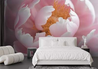 A close-up photo of a pink Peony with blurred background, White flower background Wall mural