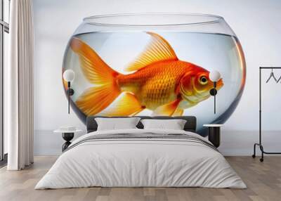 A single goldfish swimming in a round glass bowl, its bright orange scales shimmering in the water, a reminder of the beauty and fragility of life. Wall mural