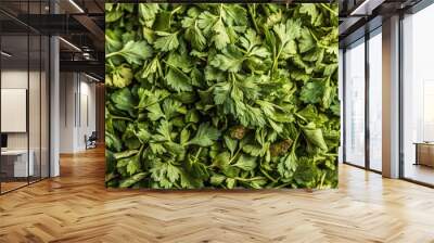 Dry organic parsley leaves background texture, herbs, green, cooking, ingredient, natural, healthy, food, dried, organic Wall mural