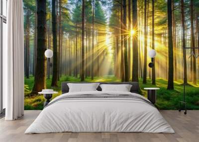 Golden rays of sunlight pierce through a dense forest, illuminating the verdant undergrowth and creating a mystical atmosphere Wall mural