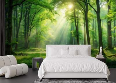 Lush green forest landscape in summer , lush, green, forest, panorama, summer, trees, foliage, woodland, nature Wall mural