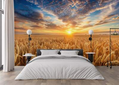 Ripening wheat field at sunrise with a beautiful sky in the background, ripening, wheat, field, sunrise, sky, background Wall mural