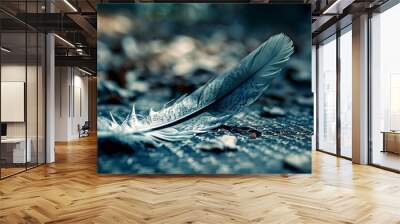 a feather is laying on the ground Wall mural