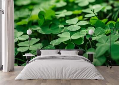 Beautiful clover leaves background Wall mural