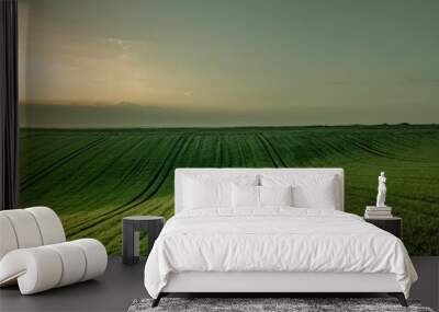 Straight lines across a green field. Wall mural