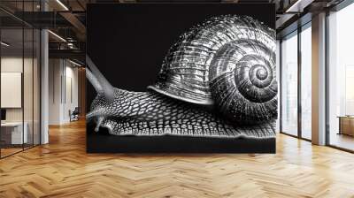 Black and white snail on a black background Wall mural