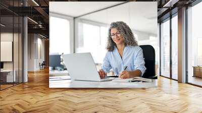 Busy mature business woman working in office using laptop writing. Smiling middle aged professional executive looking at computer, elearning, watching webinar having hybrid meeting sitting at desk. Wall mural