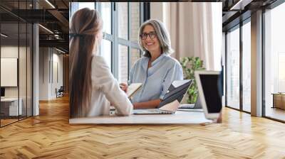 Happy mature middle 60s aged smiling lady boss manager teacher talking to assistant or student meeting in office space. Company team working together with the laptops and assistant writing notes. Wall mural