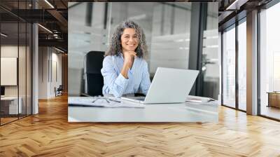 Happy smiling older middle aged professional business woman, mature female manager executive leader looking at camera at workplace, working on laptop computer in office sitting at desk, portrait. Wall mural