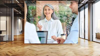 Older mature Asian business woman training young interns trainees explaining sharing professional skills at group meeting in modern office. Mid age senior teacher with group of students on seminar. Wall mural