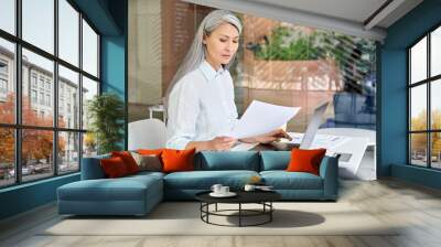 Serious focused Asian older business woman ceo manager sitting at desk doing financial paperwork using pc laptop making online tax, loans, debts bank payments in contemporary corporation office. Wall mural