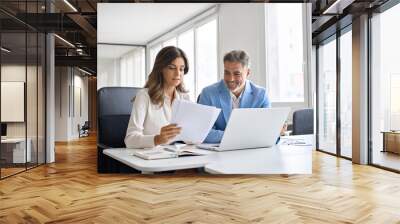 Two executives team working on laptop discussing financial documents at meeting. Professional leaders having corporate discussion planning project. Attorney consulting client investor in office. Wall mural