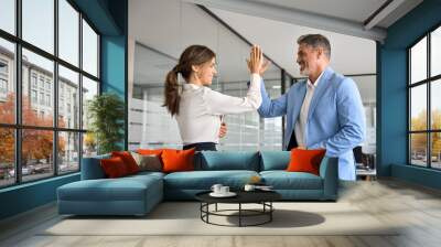 Two happy cheerful professional business team people executives middle aged man and woman giving high five in office celebrating corporate success, teamwork achievement and leadership at work. Wall mural