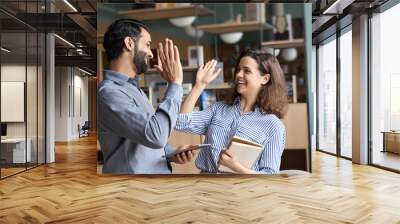 Two happy friendly diverse professionals, teacher and student giving high five standing in office celebrating success, good cooperation result, partnership teamwork and team motivation in office work. Wall mural