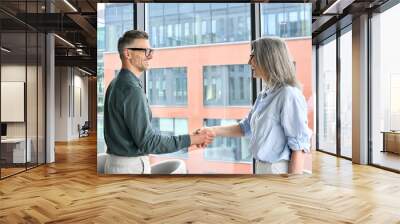 Two happy professional businessman and businesswoman executive leaders shaking hands at office meeting. Smiling businesspeople greeting partner with handshake. Leadership, trust, partnership concept. Wall mural