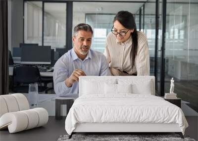 Two happy professional coworkers discussing online plan at work. Mid aged manager explaining Asian colleague financial project on laptop. Diverse business people using computer in office at meeting. Wall mural