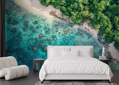 Top view of natural beach with green plants along the coast with transparent water and green coral reefs Wall mural