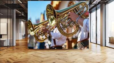 A Man Playing a Brass Instrument in a Band Wall mural