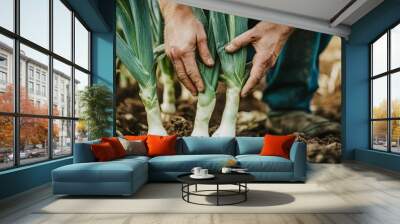 Farmer's Hand Holding Fresh Green Leeks in the Field Wall mural