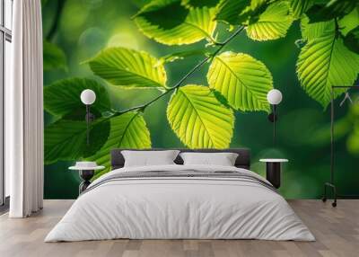 Dappled sunlight filtering through a dense canopy of lush vibrant green leaves in a tranquil serene forest landscape  The soft gentle light creates a beautiful natural pattern across the foliage Wall mural