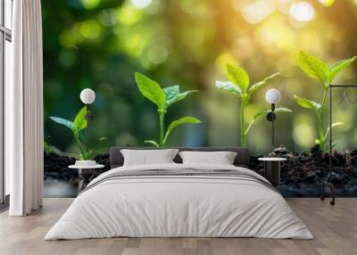 Early growth stages of various seedlings emerging from the soil,symbolizing the concept of growth,progress,and potential The vibrant green leaves and the rich,dark soil create Wall mural