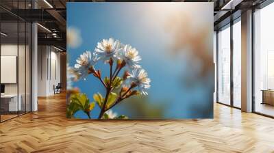 a fresh spring blue sunny sky background with blurred sunny glow Wall mural