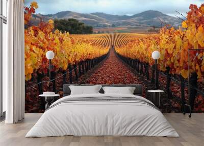 Ripened vineyard rows at harvest Wall mural